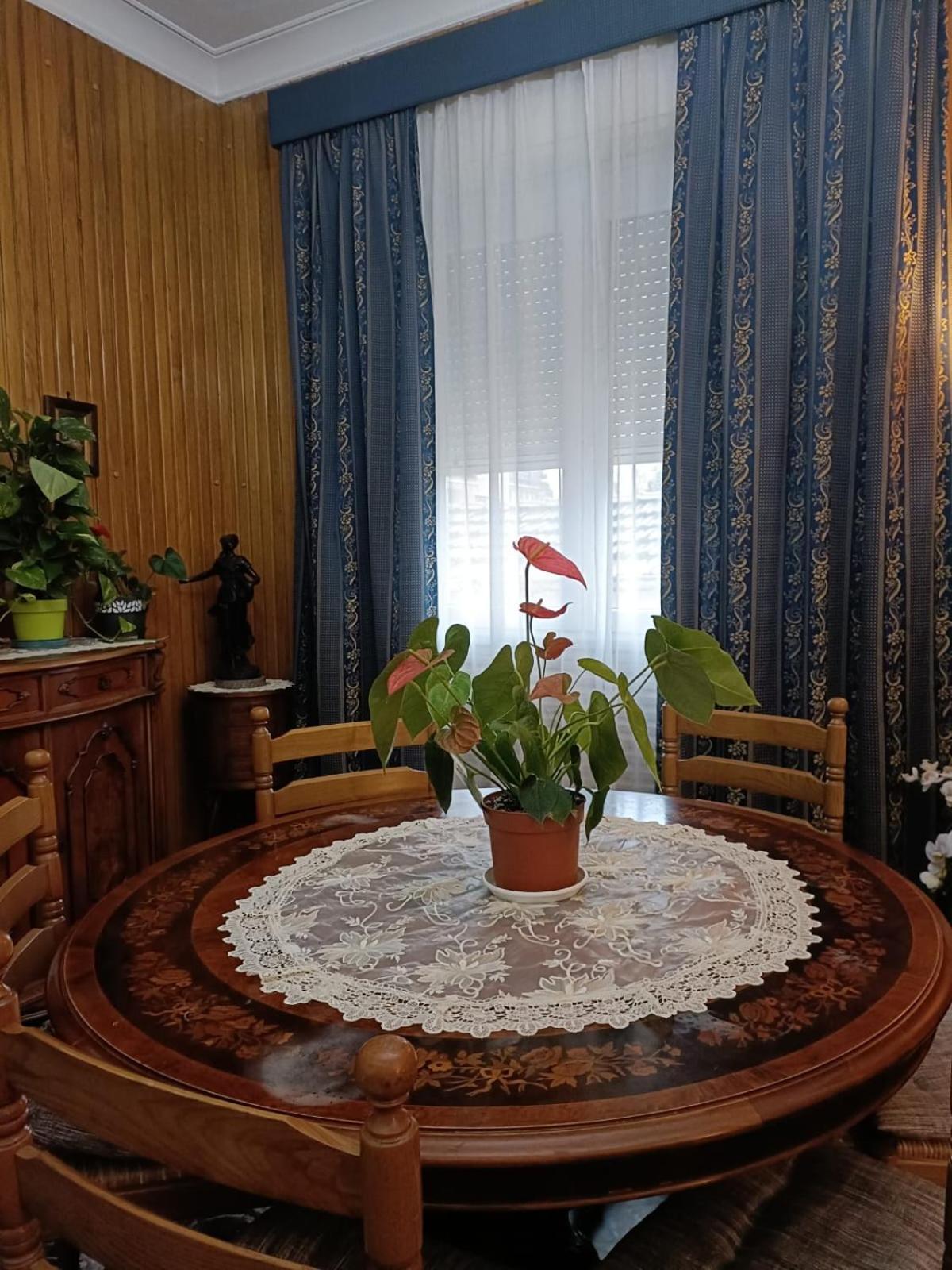 Domus Cesena Otel Dış mekan fotoğraf